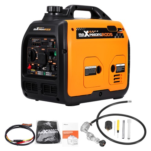 Dual fuel inverter generator - inverter,